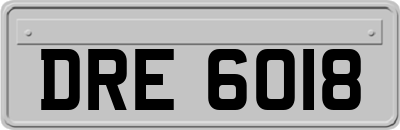 DRE6018