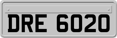 DRE6020