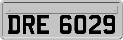 DRE6029
