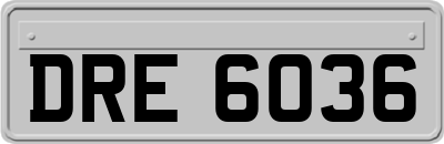 DRE6036