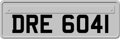 DRE6041