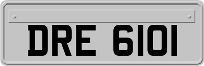DRE6101