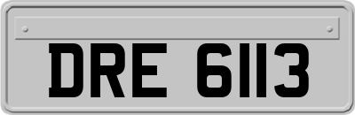 DRE6113