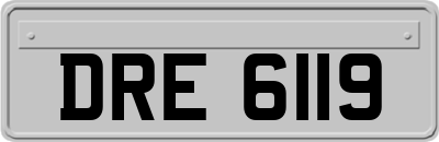 DRE6119