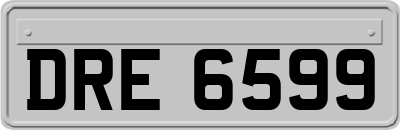 DRE6599