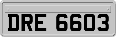 DRE6603