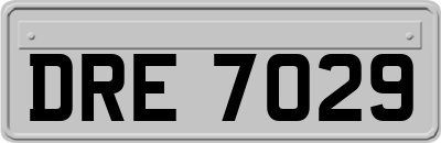 DRE7029