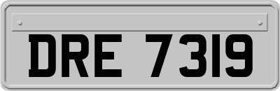DRE7319