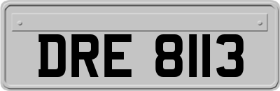 DRE8113