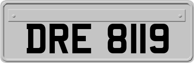 DRE8119