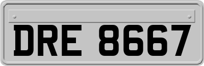 DRE8667