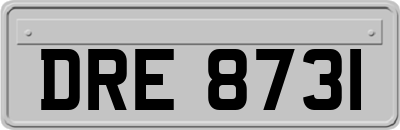DRE8731