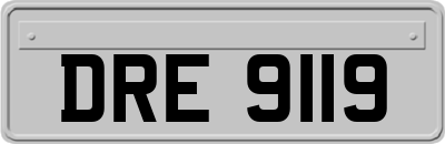 DRE9119