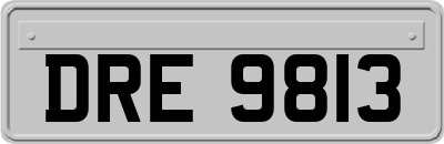 DRE9813