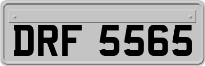 DRF5565