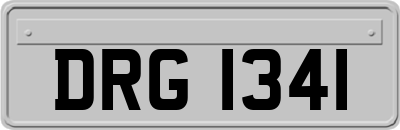 DRG1341