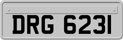 DRG6231