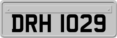 DRH1029