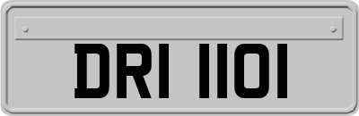 DRI1101