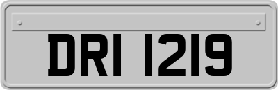 DRI1219
