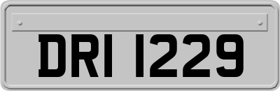 DRI1229