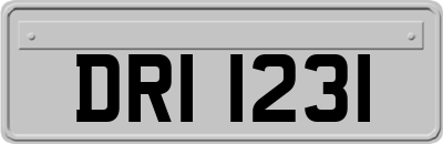DRI1231