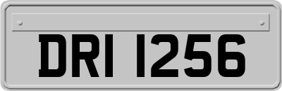 DRI1256