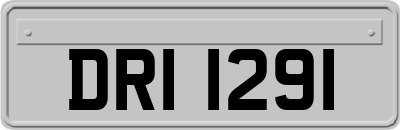 DRI1291