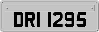 DRI1295