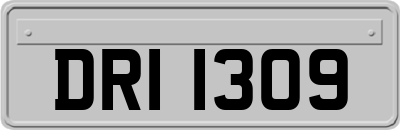 DRI1309