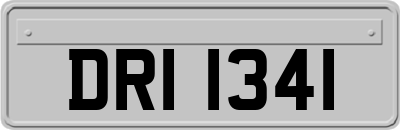 DRI1341