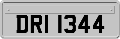 DRI1344