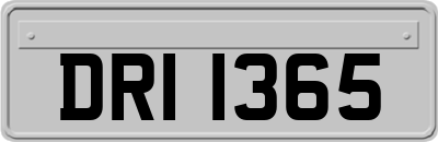 DRI1365