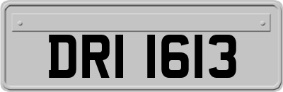 DRI1613