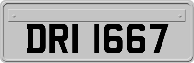DRI1667