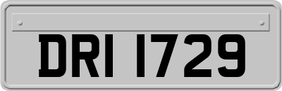 DRI1729