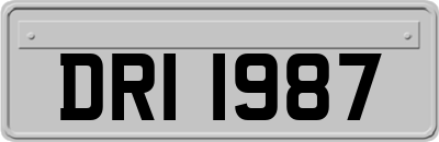 DRI1987