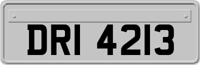 DRI4213