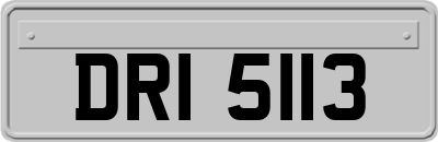 DRI5113