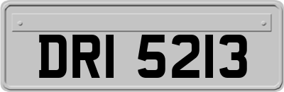 DRI5213