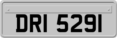 DRI5291
