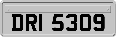 DRI5309