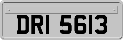 DRI5613