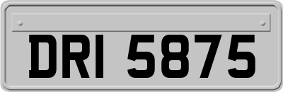 DRI5875