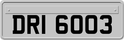 DRI6003