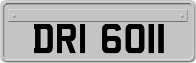 DRI6011