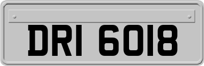 DRI6018