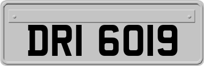 DRI6019