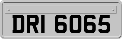 DRI6065