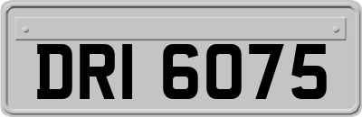 DRI6075